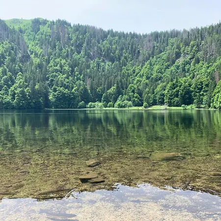 Apartament Haus Wiesenquelle, Deluxe-apartment 'feld & Berg' *