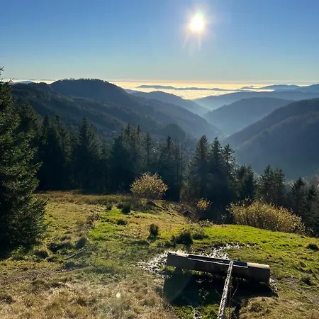 Haus Wiesenquelle, Deluxe-apartment 'feld & Berg' Apartament Feldberg (Baden-Wurttemberg)