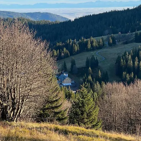 Haus Wiesenquelle, Deluxe-apartment 'feld & Berg' Apartament Feldberg (Baden-Wurttemberg)