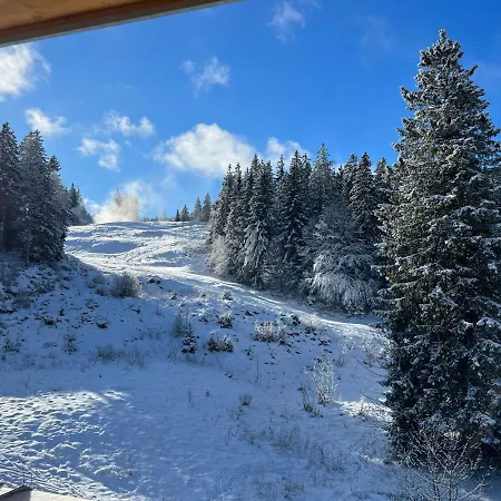 Haus Wiesenquelle, Deluxe-apartment 'feld & Berg'