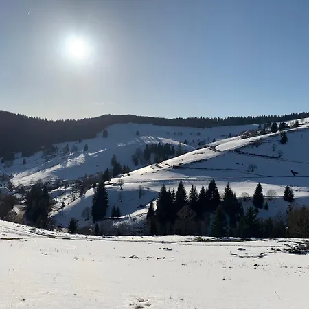 Haus Wiesenquelle, Deluxe-apartment 'feld & Berg' *
